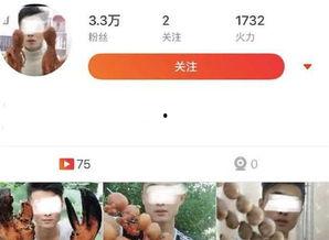 峨眉山小伙爆料视频播放,揭秘神秘山景背后的故事 第3张 峨眉山小伙爆料视频播放,揭秘神秘山景背后的故事 第3张